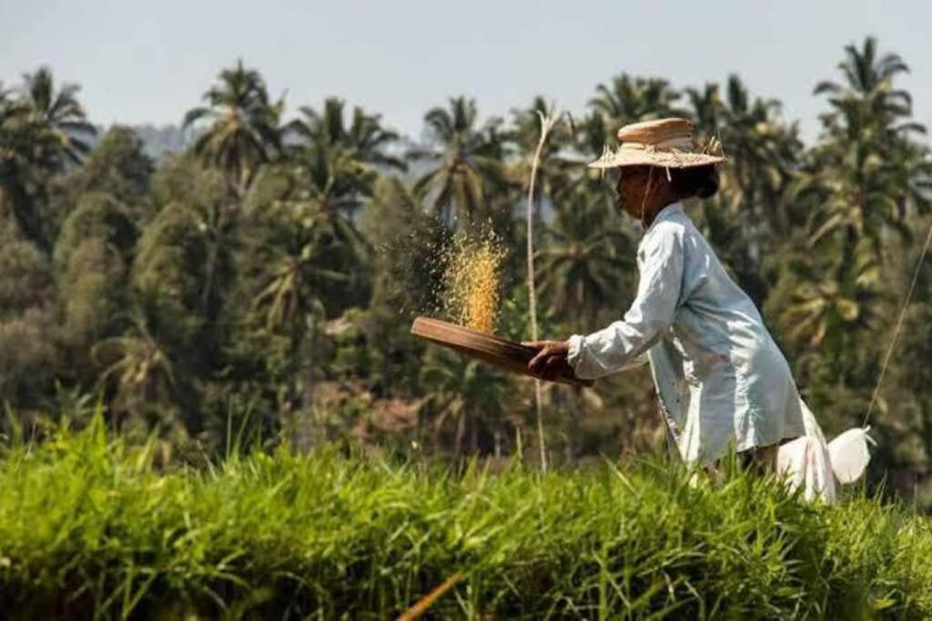 Villa Mimpi Nyata Canggu  Ngoại thất bức ảnh