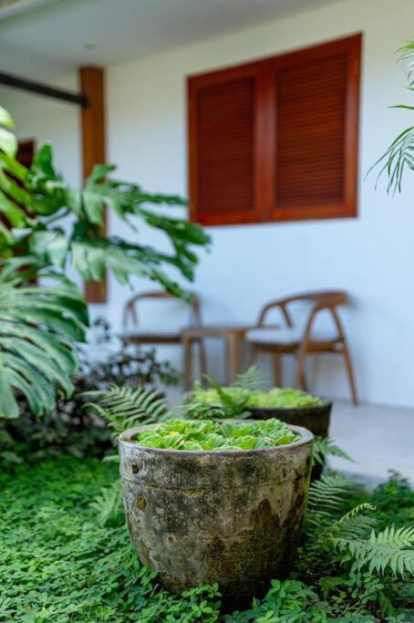 Villa Mimpi Nyata Canggu  Ngoại thất bức ảnh