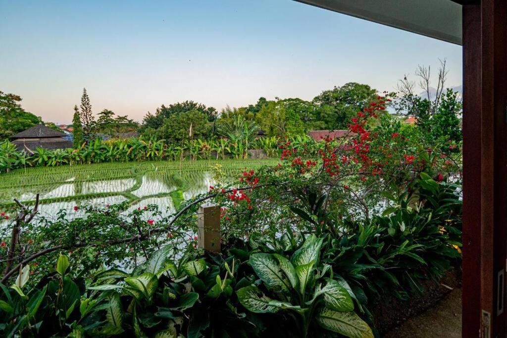 Villa Mimpi Nyata Canggu  Ngoại thất bức ảnh